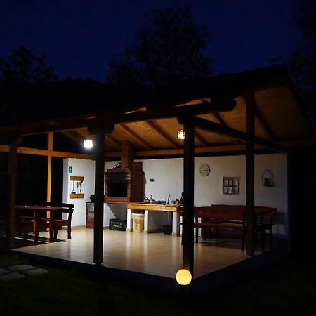 Guest House Carpathia Vişeu de Sus 外观 照片