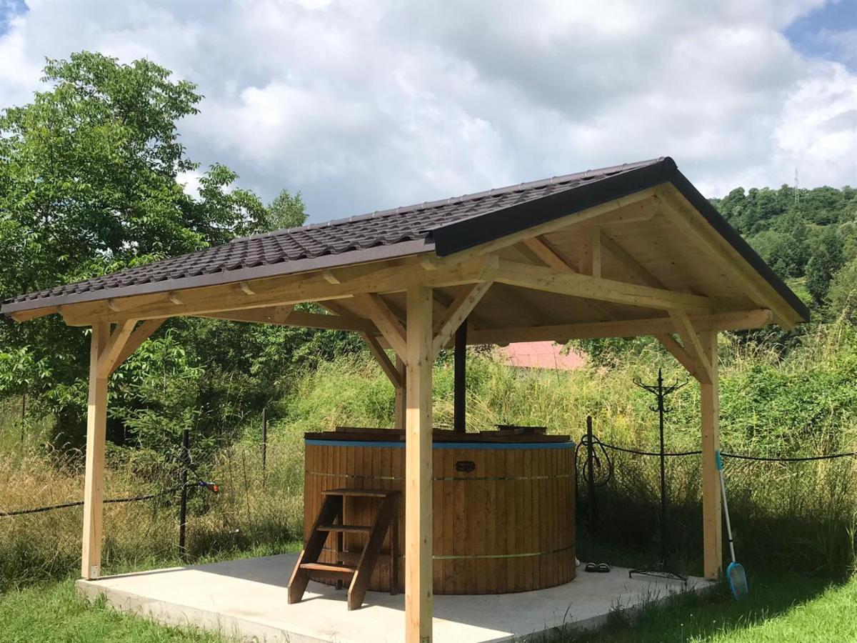 Guest House Carpathia Vişeu de Sus 外观 照片