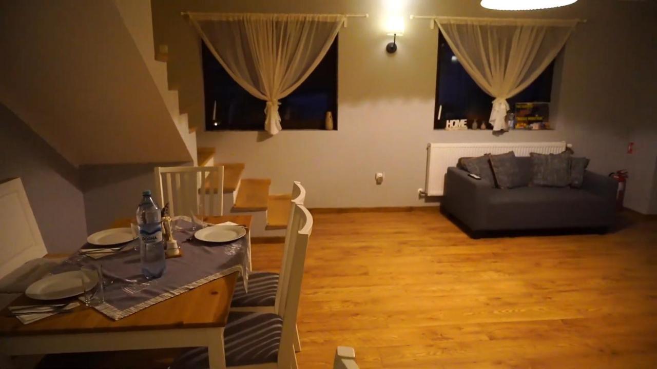 Guest House Carpathia Vişeu de Sus 外观 照片
