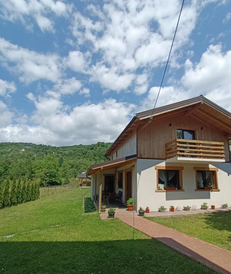 Guest House Carpathia Vişeu de Sus 外观 照片