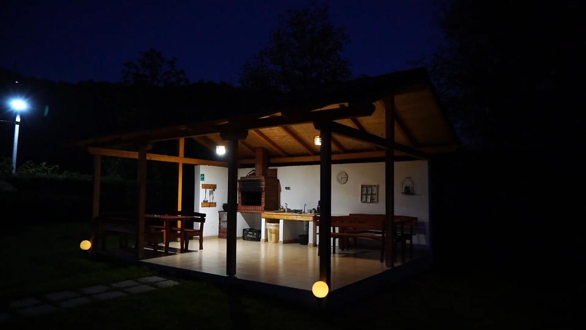 Guest House Carpathia Vişeu de Sus 外观 照片