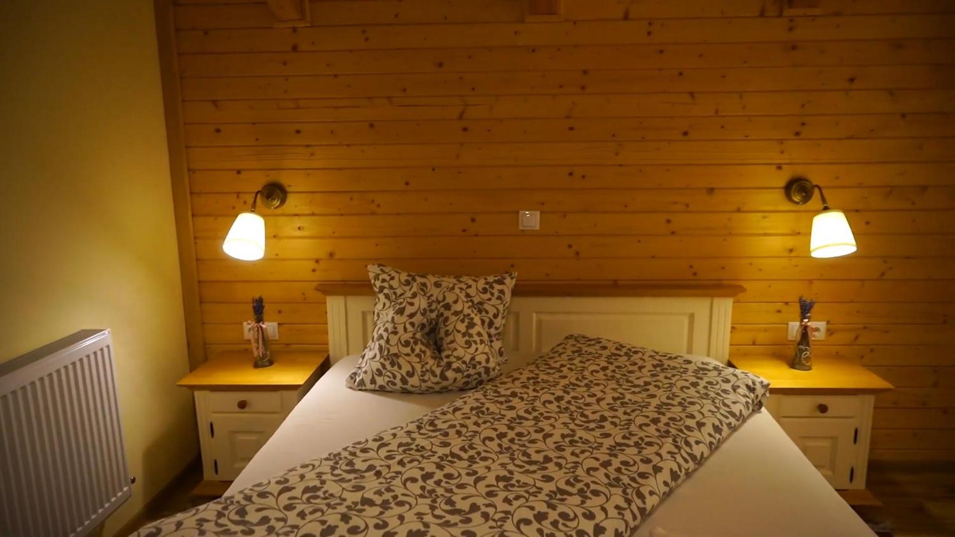 Guest House Carpathia Vişeu de Sus 外观 照片