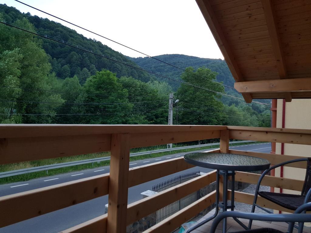 Guest House Carpathia Vişeu de Sus 外观 照片