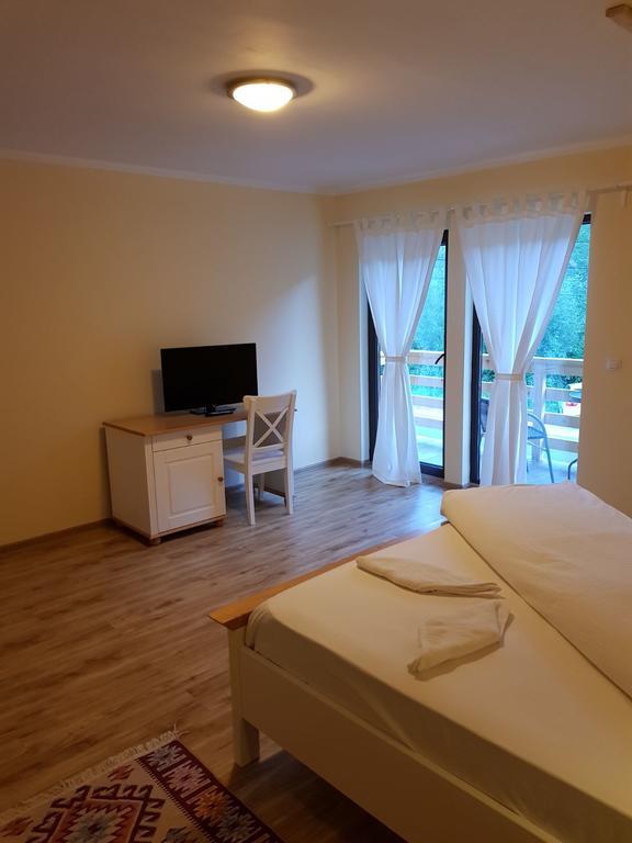 Guest House Carpathia Vişeu de Sus 外观 照片