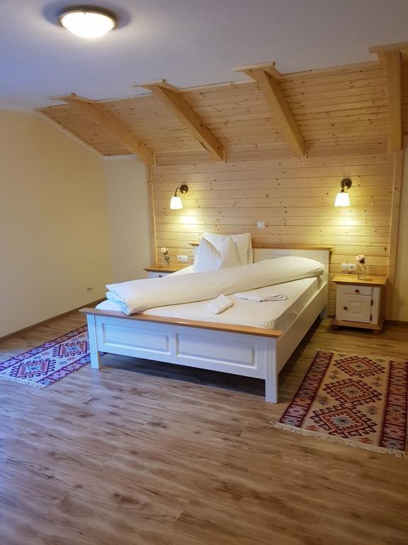 Guest House Carpathia Vişeu de Sus 外观 照片