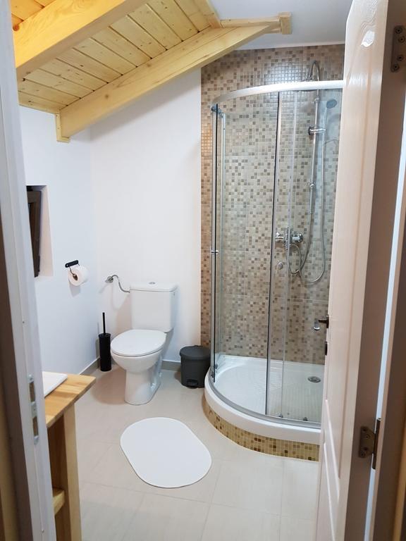 Guest House Carpathia Vişeu de Sus 外观 照片