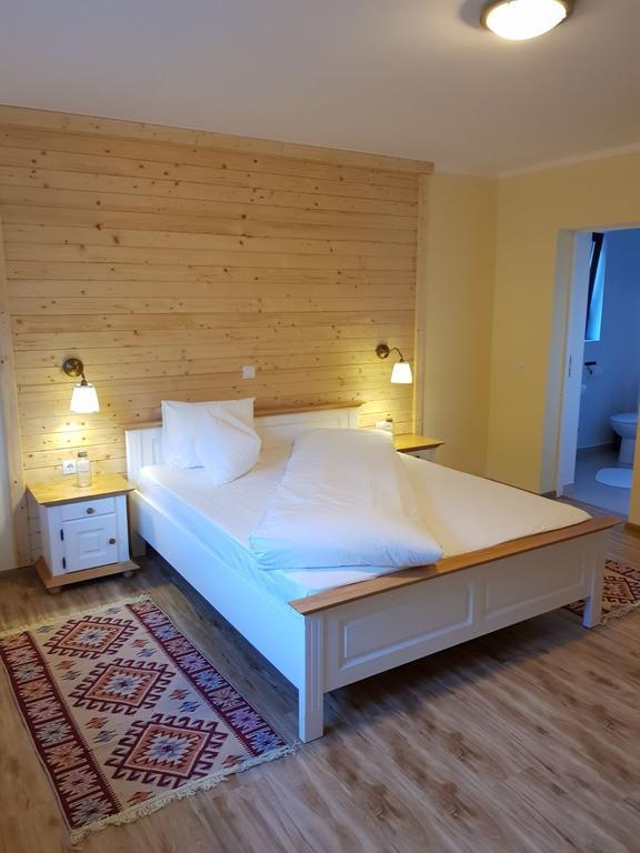 Guest House Carpathia Vişeu de Sus 外观 照片