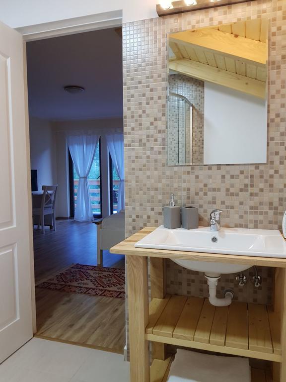 Guest House Carpathia Vişeu de Sus 外观 照片